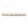 Perles de nacre, en forme de goutte d'eau Taille 5x8 mm, trou 0.7 mm, environ 49 perles/brin 15 ~ 16 ''