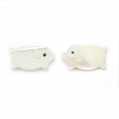 白貝串珠 小豬 尺寸8x14毫米 孔徑0.35毫米 長度39-40厘米/條