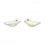 Mothre bianco di perle di conchiglia di uccello Dimensione6x15mm Foro0.35mm 39-40cm/Strand