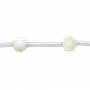 White Mother-of-Pearl Shell Beads Rose Size8mm Hole0.35mm 39-40cm/Strand
