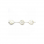 Perles de nacre blanche Taille rose10mm Trou0.35mm 39-40cm/brin