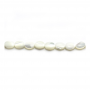 Weißes Perlmutt Muschel Perlen Oval Größe6x8mm Loch0.8mm 39-40cm/Strang