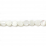 Filo di perle di madreperla bianca naturale, cuore, dimensioni 6x6 mm, foro 0,8 mm, circa 71 perle/filo 15~16"