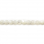 白い貝の真珠の母ビードは円形の直径4mmの穴0.8mm 39-40cm/鎖を切り開いた