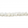 Perles de nacre blanche en étoile Taille8x8mm Trou0.8mm 39-40cm/brin