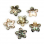 Grey mother of pearl flower with 5 petals 15mm 2pcs