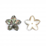 Grey mother of pearl flower with 5 petals 15mm 2pcs