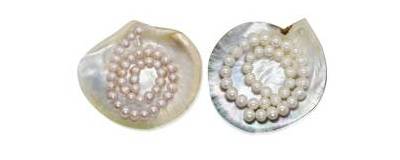 Perlas naturales, Perlas de agua dulce