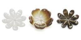 花形狀貝殼-四葉草形狀貝殼-白色玫瑰花形狀貝殼-粉色四葉草形狀貝殼貝殼