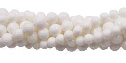 Wholesale high quality and  low price Tridacnidae beads
