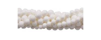 Wholesale high quality and  low price Tridacnidae beads